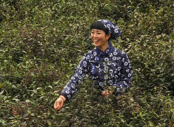 84间房主播跳舞 香烟与丝绒